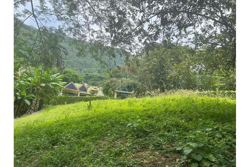 Land in Tocaima - Lote en Tocaima